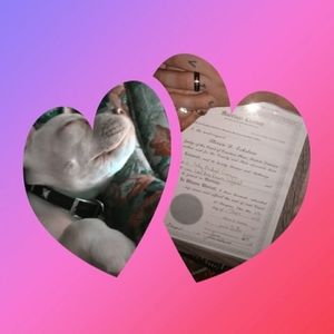 Meet your Posher, Cody